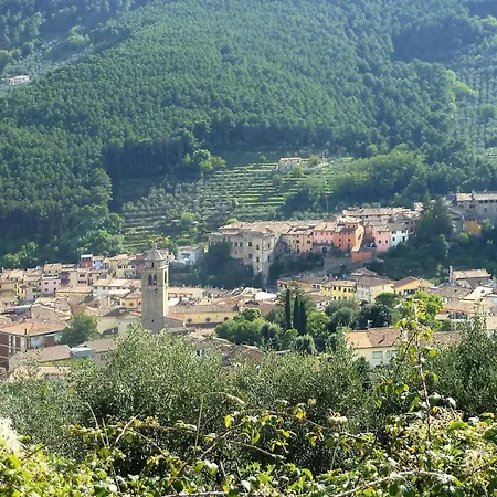 Estate In Monte Serra With Panoramic Views Appartement